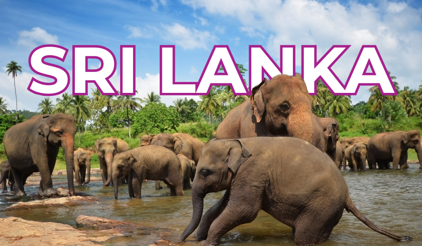 Magical Sri Lanka Tour